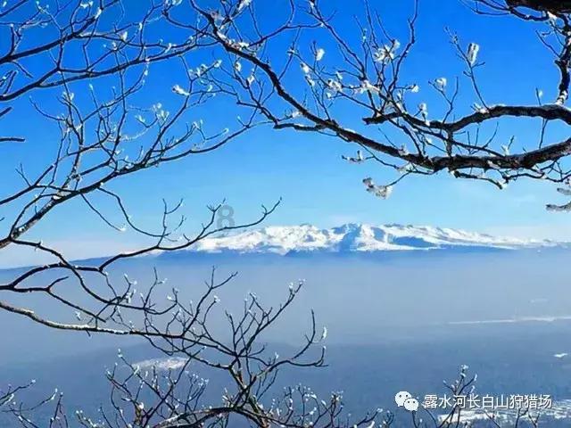 歌词月上柳梢头是什么歌？